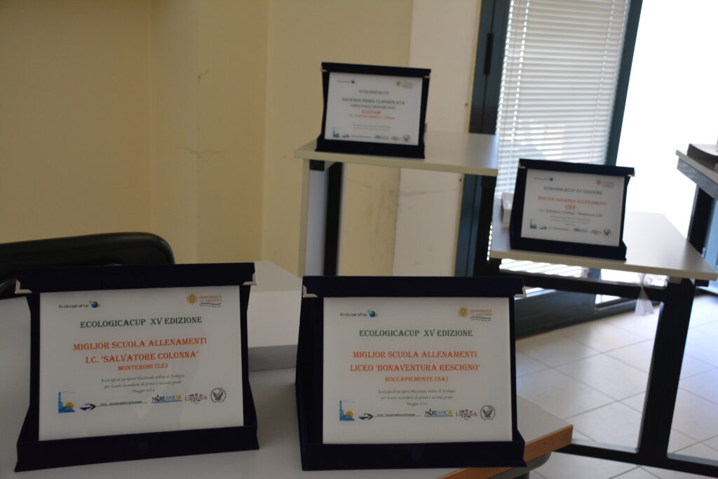 12_DSC_0004-1024x683